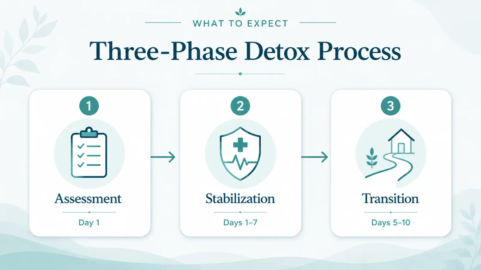 Three-Phase Detox Progress